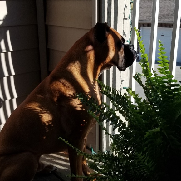 Not For Sale - Picture 2 of 4